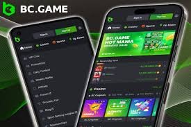 Revolutionizing Online Gaming The BC.Game Mobile App Experience